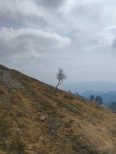 Foto copetina Resegone │ Gamma 1